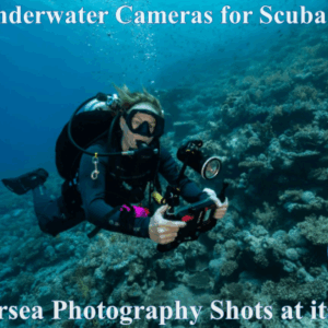 Best Underwater Professional Cameras for Scuba Diving, Snorkeling, Ice Fishing